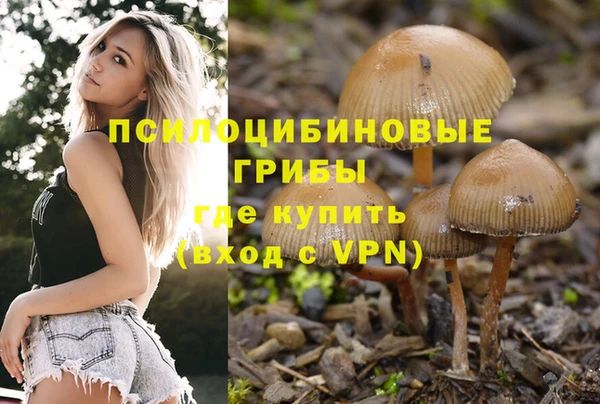 дурь Зеленодольск