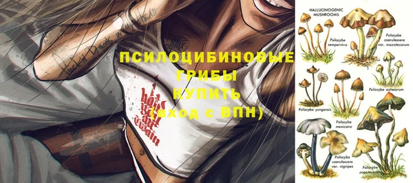 спиды Зерноград
