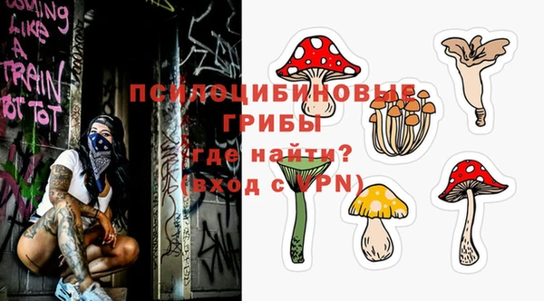 дурь Зеленодольск