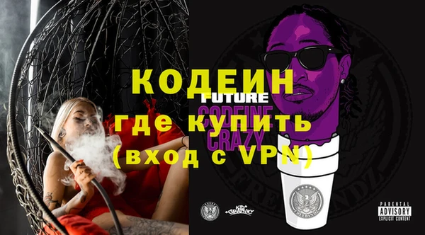 сатива Инта