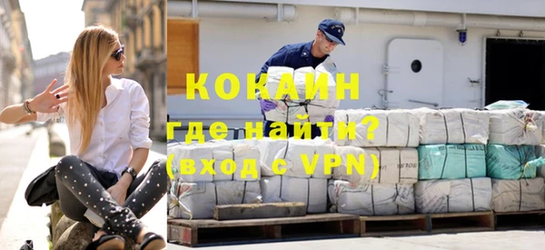 сатива Инта