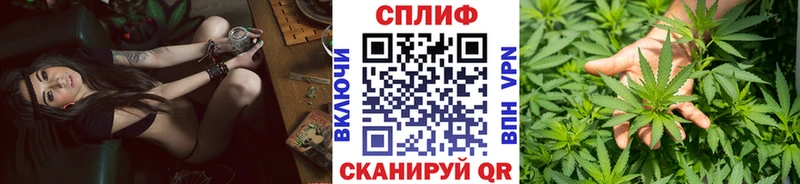 Конопля ГИДРОПОН Тотьма